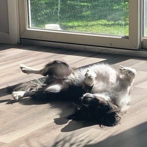 Meet your Posher, Alexis